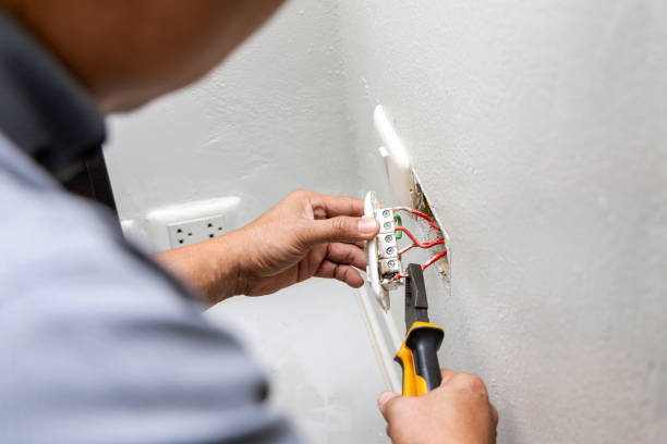 Best Ceiling Fan Installation Electrician  in Seaford, DE